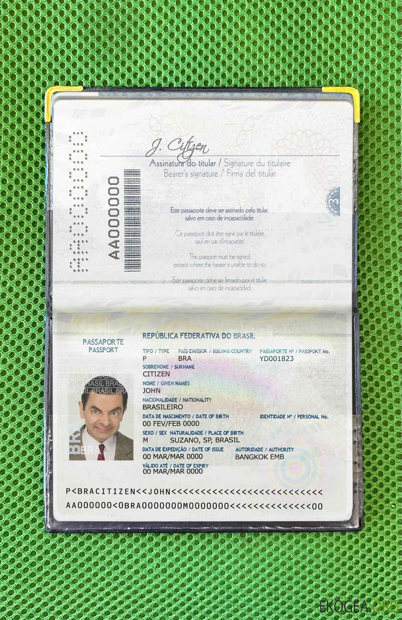Aperçu photo du passeport brésilien (2016 2019)